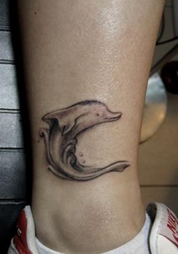 海豚第0张