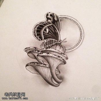   安吉丽娜·朱莉图片 _ 第(2)张