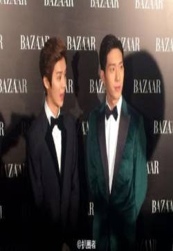 鹿晗井柏然2015芭莎慈善夜现场图 之后有影版盗墓笔记的合作