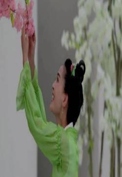 太子妃升职记剧照 壁纸 太子妃升职记图片