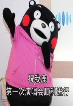 幽默搞笑表情包之熊本熊鹿晗的第一场演唱会