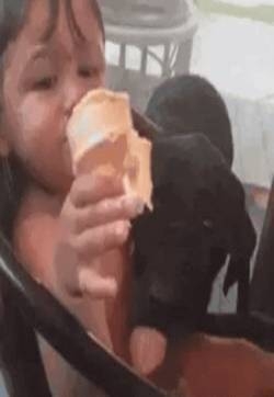超级搞笑的gif动态图片 囧事趣图