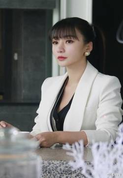 中国内地湖南衡阳女演员柳岩岩总裁穿起职业装也是性感迷人