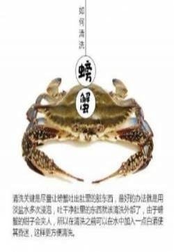 教你八种清洗海鲜的文字图片
