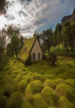 北欧旅游风景摄影图片：在屋顶上种草的北欧