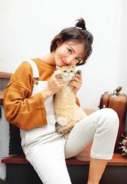 中国大陆山东济南女演员平面模特金晨怀抱喵星人唯美阳光写真