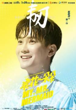 浪漫爱情剧王子璇《浪花一朵朵》海报图片