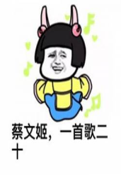 最新最热门王者荣耀英雄爆笑恶搞带字搞笑表情包