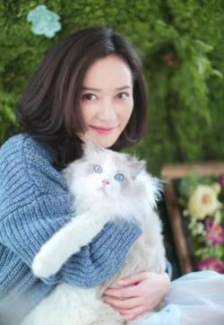高清中国导演,演员俞飞鸿优雅自信养眼写真图片
