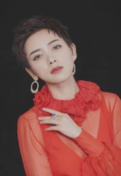中国内地女演员李晓峰珠光宝气优雅迷人写真图片