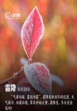 重阳节图片 10月传统节日图片
