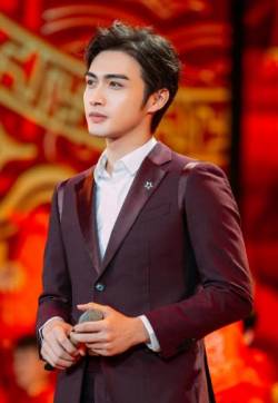中国大陆江苏无锡男演员张彬彬元宵晚会帅气舞台图片