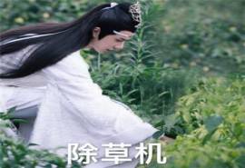 陈情令肖战魏无羡表情包图片