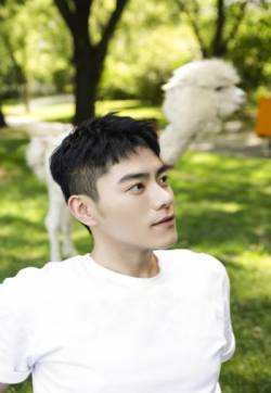 高清中国台湾影视男演员李程彬清爽帅气夏日写真图片