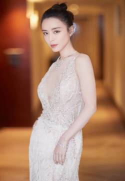 中国内地福建永安女演员张静初上海电影节成熟知性写真图片
