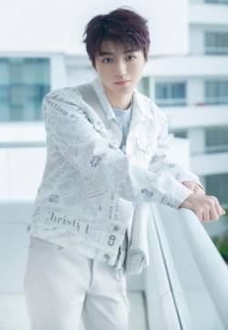 高清中国内地男歌手演员王俊凯印花西装清新写真图片