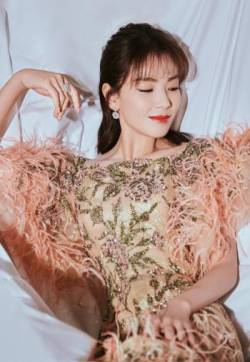 大陆江西省南昌市西湖区著名女演员刘涛橘粉色羽毛裙性感图片图片