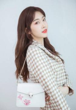高清内地江苏省南京女演员宣璐纹格装性感写真图片