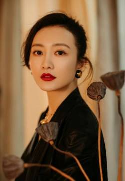 高清大陆广西南宁女演员王鸥精致优雅写真图片