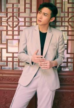 中国大陆江苏无锡男演员张彬彬灰色西装魅力写真图片