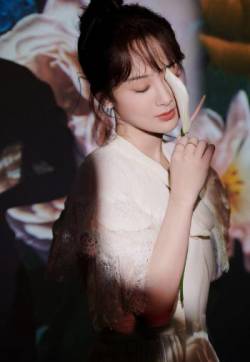 高清中国内地影视北京女演员杨紫蕾丝长裙灵动写真图片