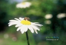 韩国版圣经壁纸 自然风景篇