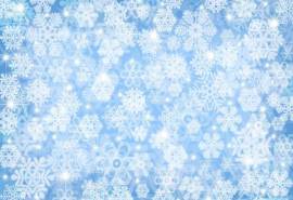 蓝白素雅雪花纹理图片电脑壁纸