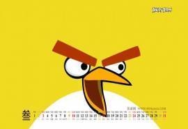 2013年3月电脑日历壁纸之疯狂的小鸟