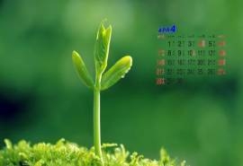 2013年4月日历桌面壁纸之清爽绿色叶子