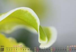 2013年4月风景日历桌面壁纸清新的绿色风景