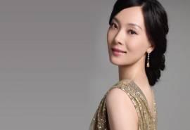 大陆内地湖北黄石女演员陈数桌面壁纸之气质美女写真