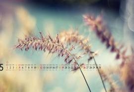 风景图片日历桌面2013年5月高清壁纸
