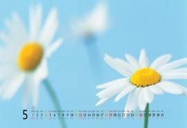 2013年5月日历壁纸之唯美高清风景