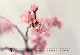 2013年5月桌面壁纸之精选精美风景