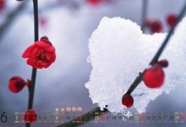 日历壁纸2013年6月之美丽雪景