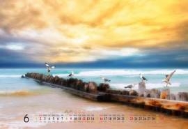 2013年6月风景日历飞翔的海鸥壁纸