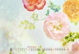2013年6月日历之梦幻花卉风景壁纸