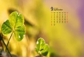 2013年风景九月份高清日历桌面壁纸
