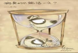 刀刀狗哲学精神漫画创意手机壁纸
