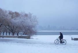 哈尔滨冬天雪景桌面壁纸