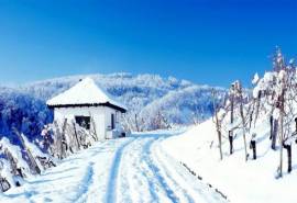 雪白唯美好看雪景自然风光1366*768高清壁纸