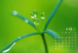 高清雨水水珠2022年6月份日历桌面壁纸护眼绿色水滴