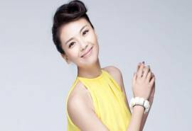 大陆江西省南昌市西湖区著名女演员花儿与少年气质美女贤妻刘涛桌面壁纸
