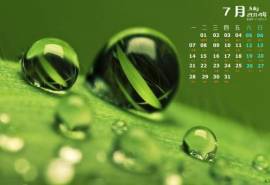 高清雨水2022年7月日历桌面护眼壁纸清新绿叶水滴