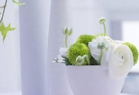 简单可爱小清新鲜花桌面壁纸
