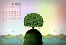 2014年6月日历桌面壁纸天空树木唯美图片