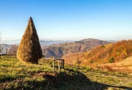 精选国外风光夏季田园绿色清新养眼图片电脑桌面壁纸  第一辑