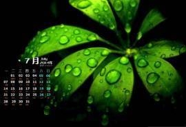 2014年7月日历桌面护眼壁纸小清新绿色养眼树叶