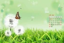 2014年6月日历绿色护眼清新蒲公英高清电脑桌面壁纸