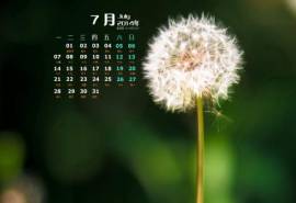 高清2022年7月日历桌面壁纸清新绿色护眼风景